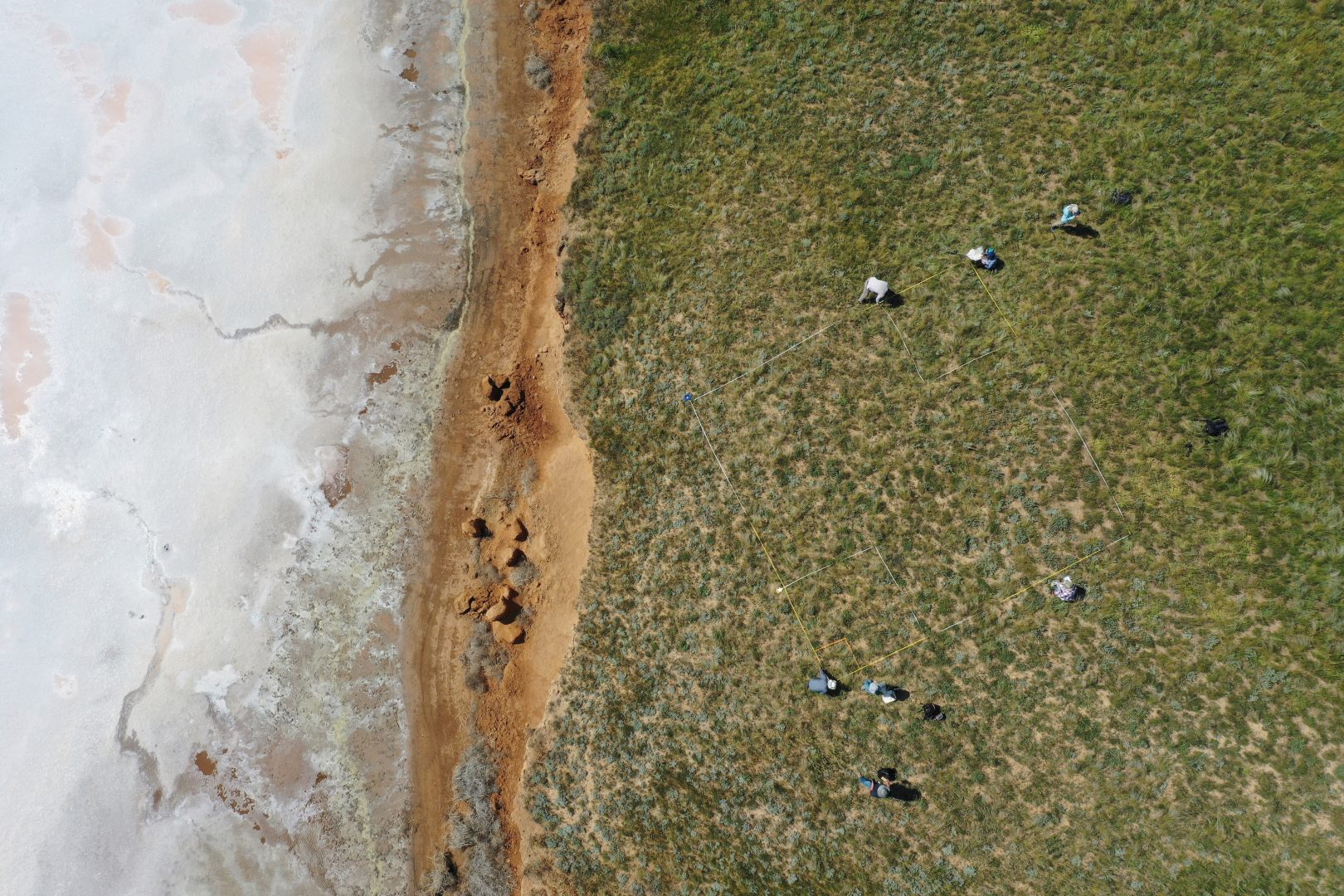 Capturing Ecology 2024