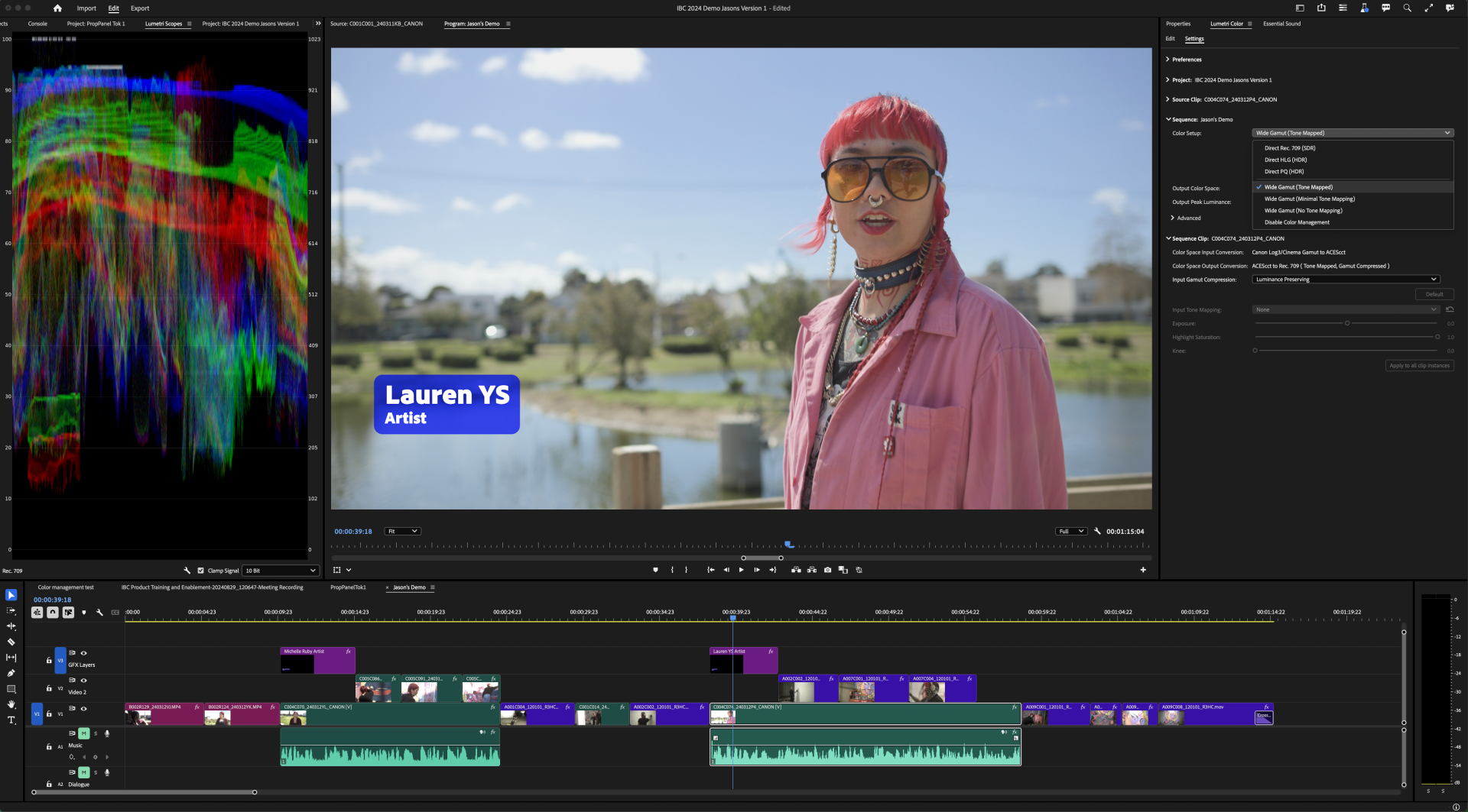 Adobe Premiere Pro Colour Management