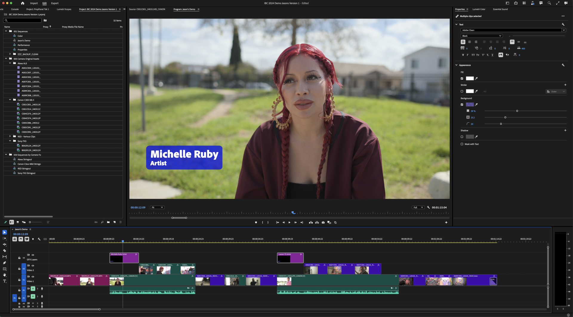 Adobe Premiere Pro Colour Management