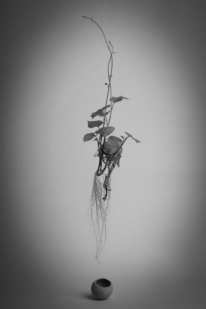 Richard Bentley minimalist photo