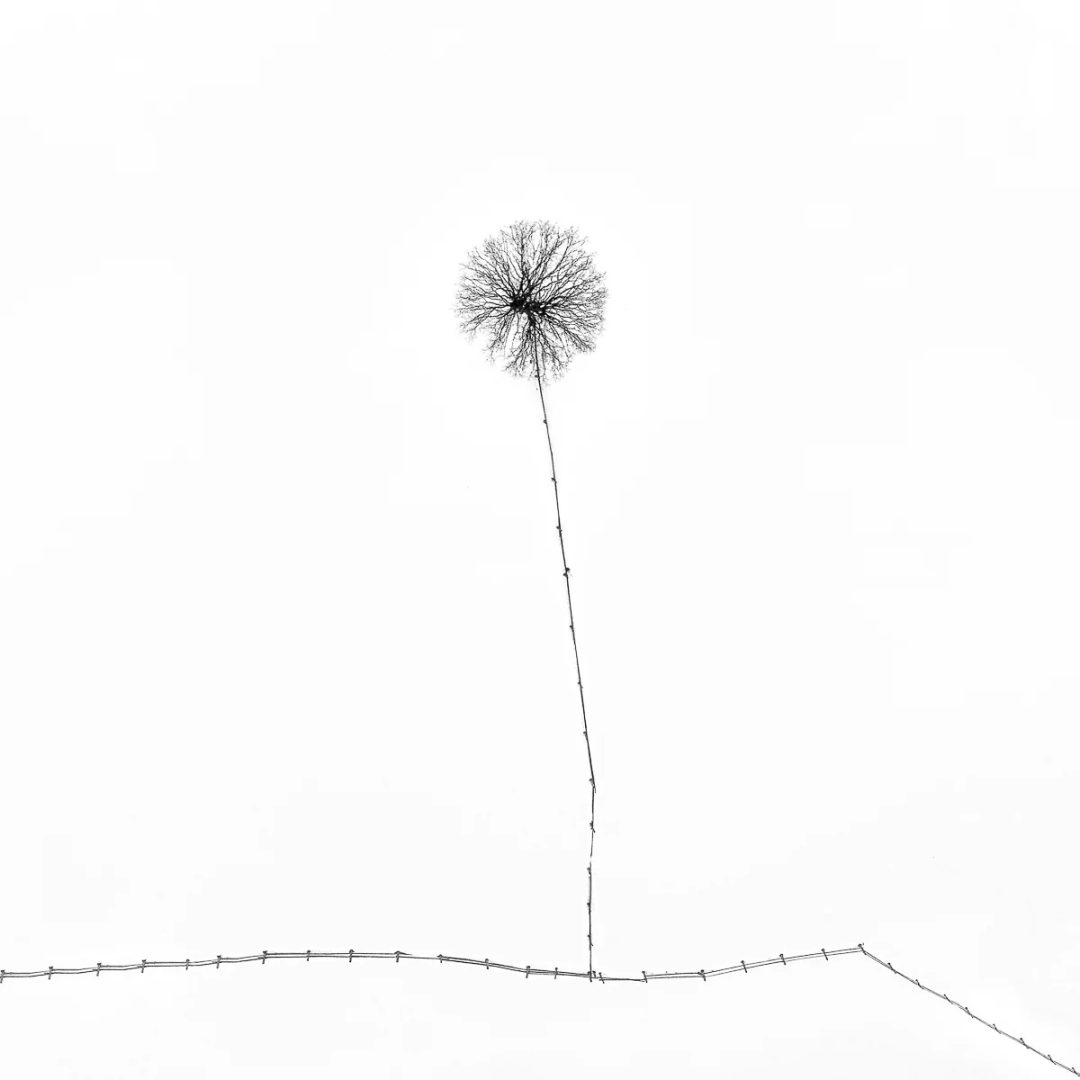 Yevhen Samuchenko minimalist