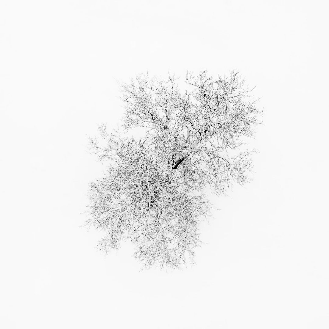 Yevhen Samuchenko minimalist