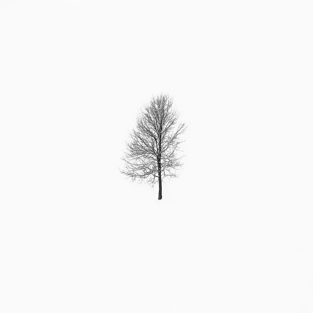 Yevhen Samuchenko minimalist