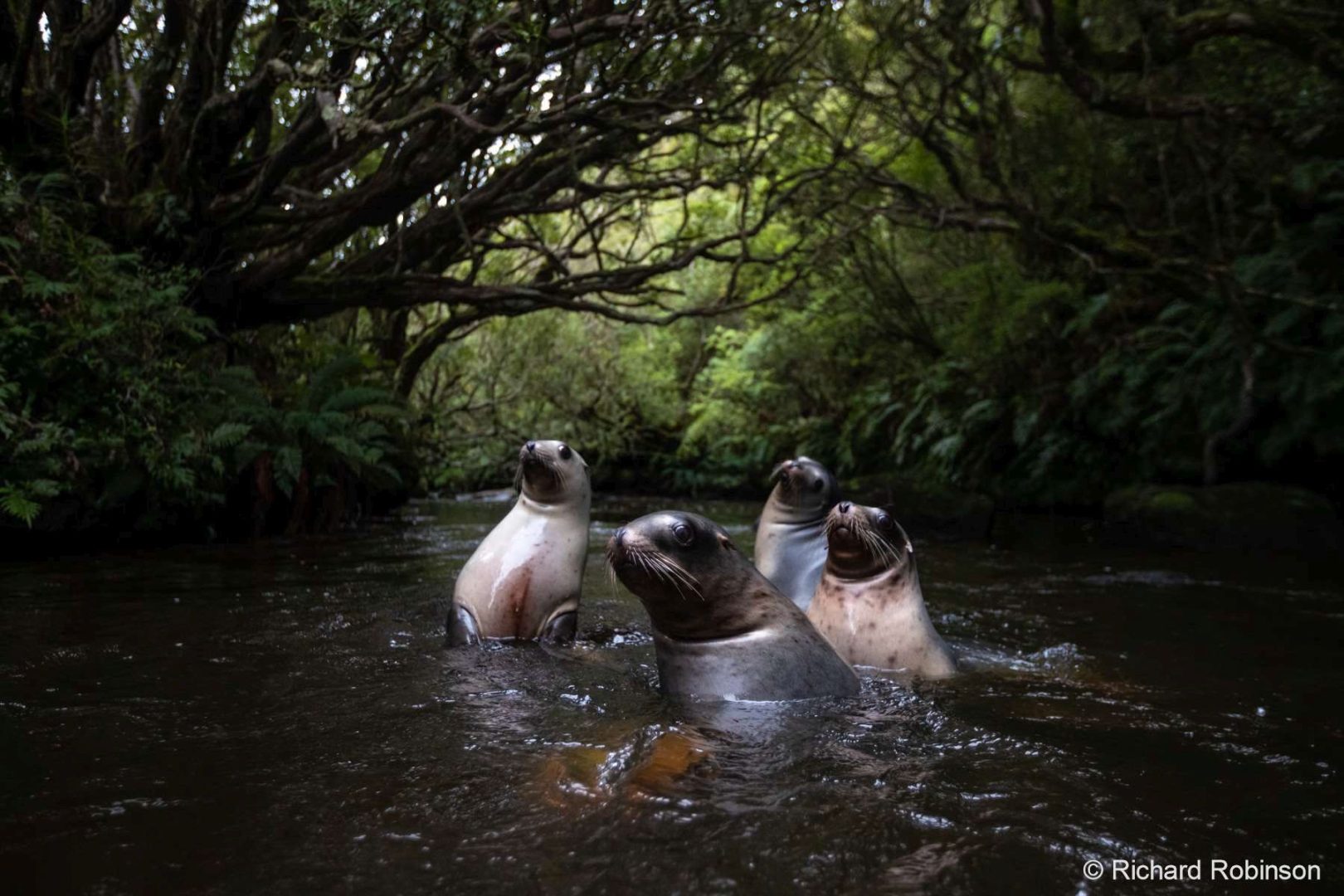 australian geographic 2024