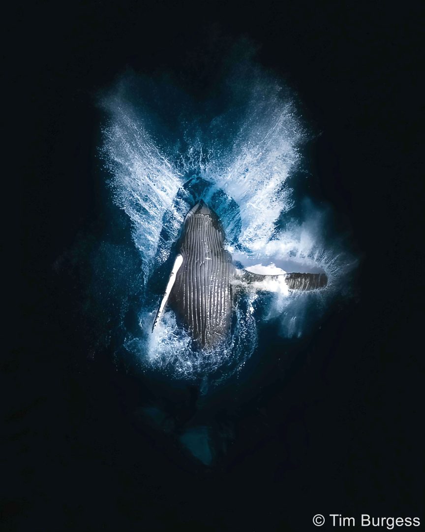 australian geographic 2024