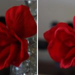 DSLR or Film