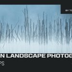 Capture your best fall photos ever with these tips