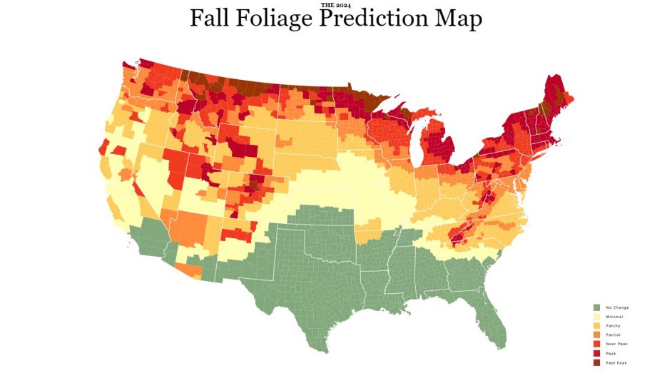 fall foliage prediction