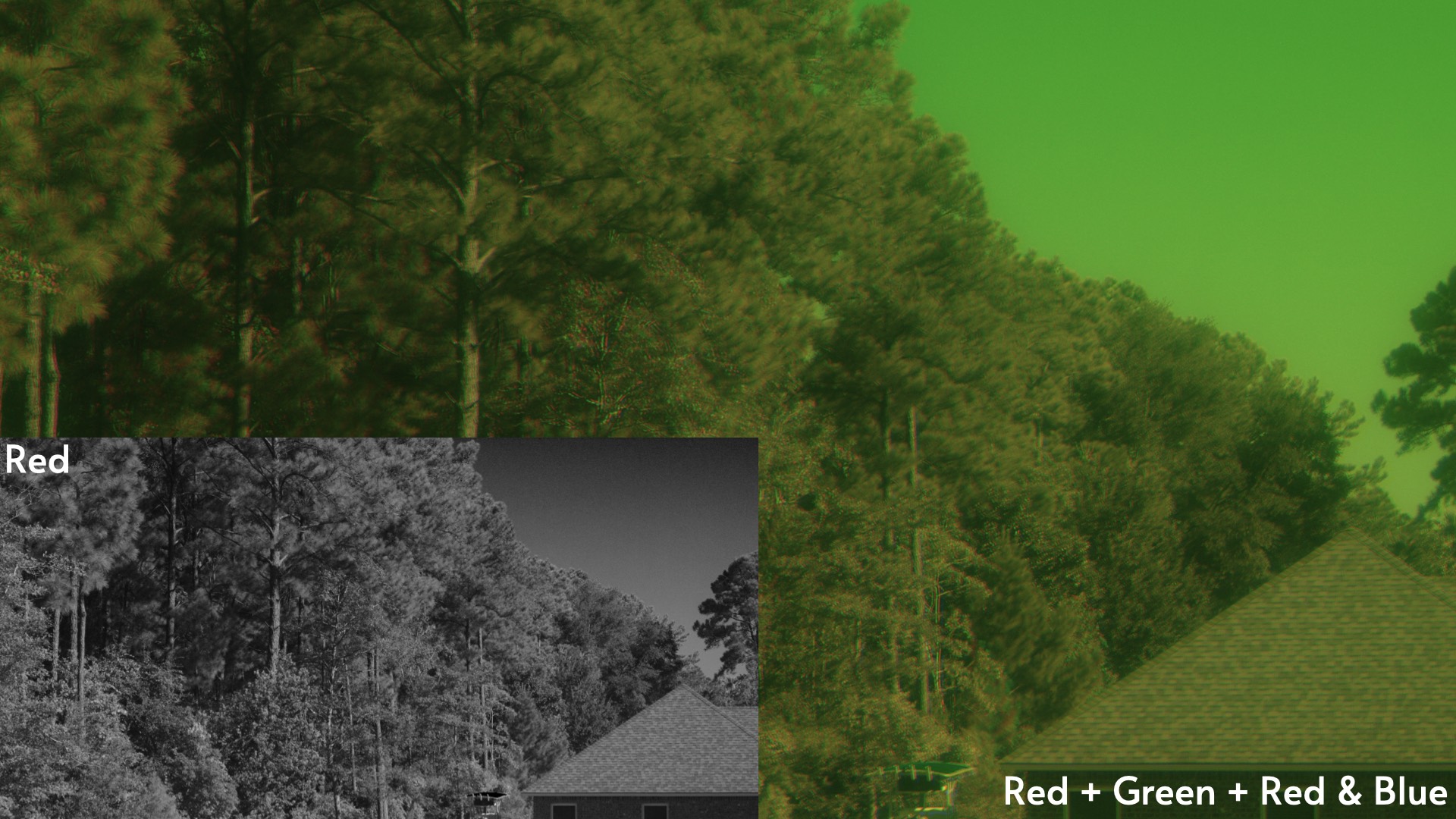 green sky with color IR