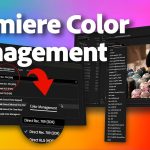 Adobe Premiere Pro Colour Management