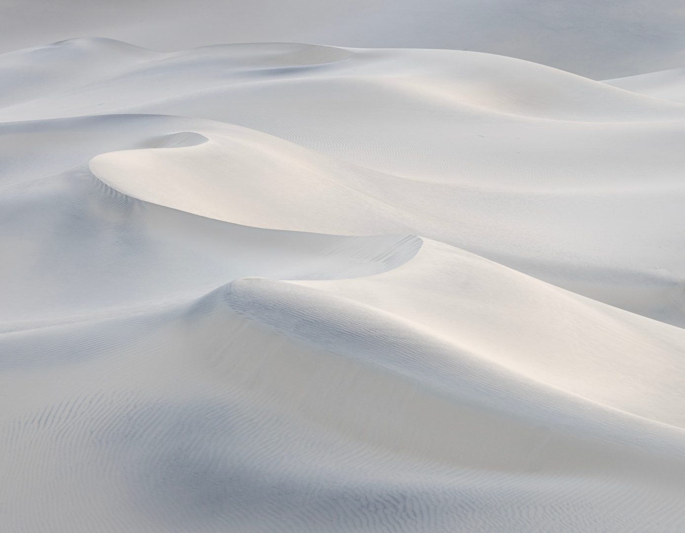 Mesmerizing forest abstracts win Natural Landscape Awards 2024