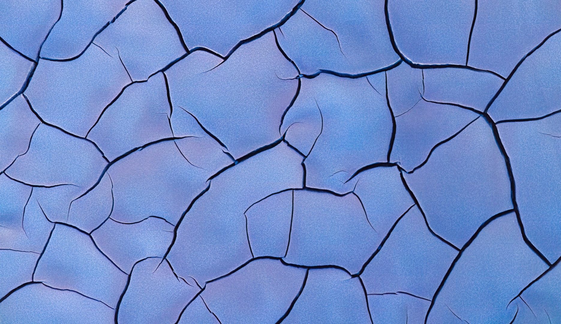 Mesmerizing forest abstracts win Natural Landscape Awards 2024