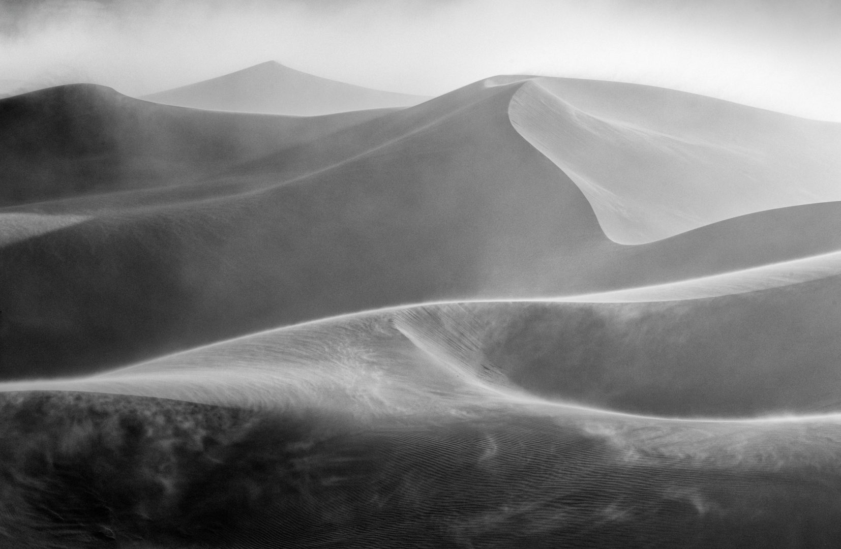 Mesmerizing forest abstracts win Natural Landscape Awards 2024