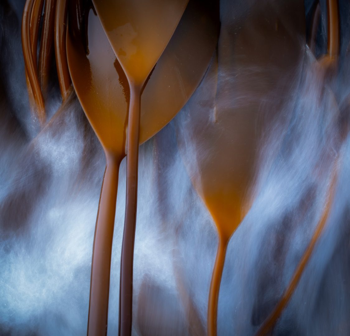 Natural Landscape Awards 2024
