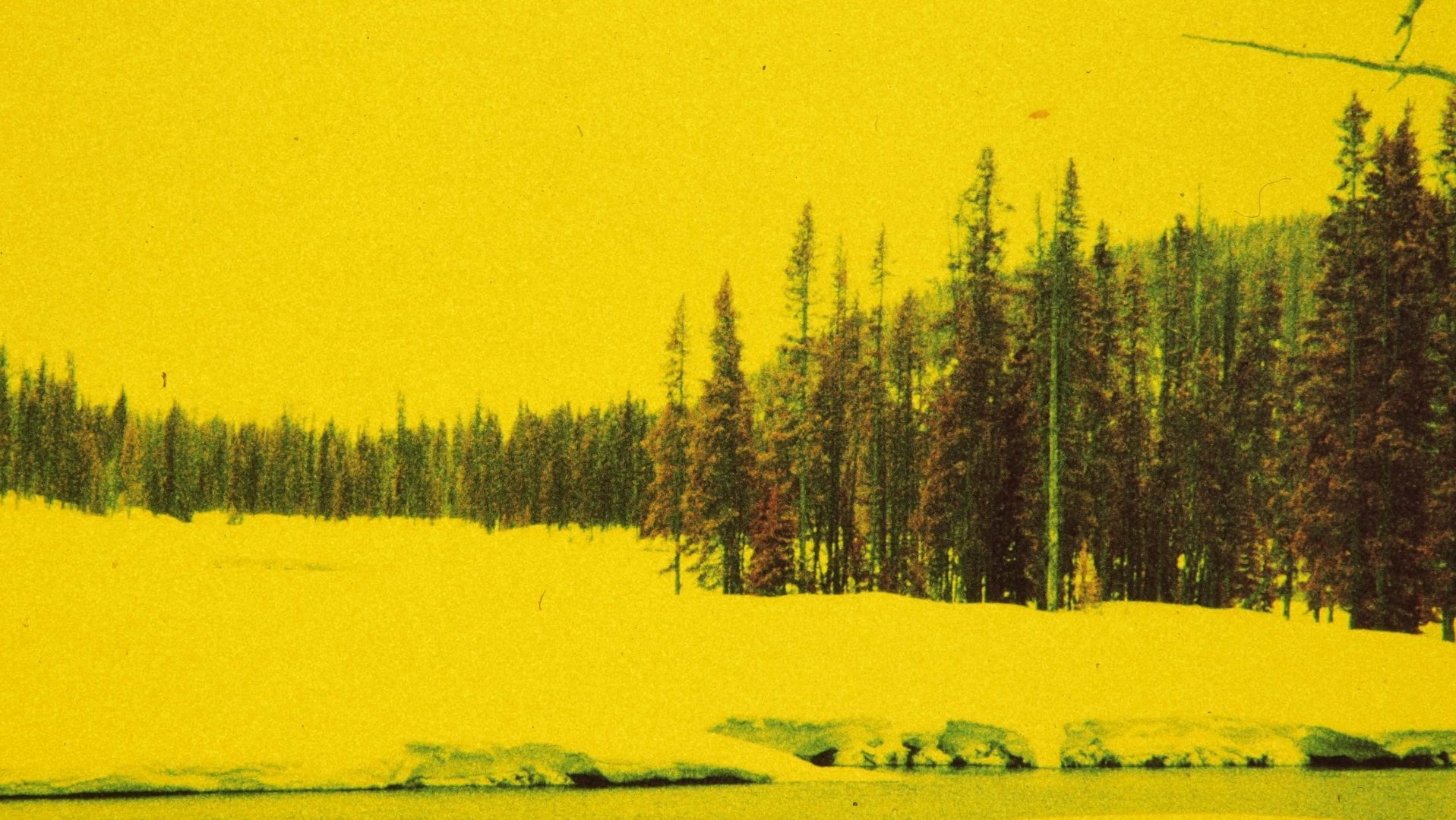 yellowstone national park shot on Kodak IE film