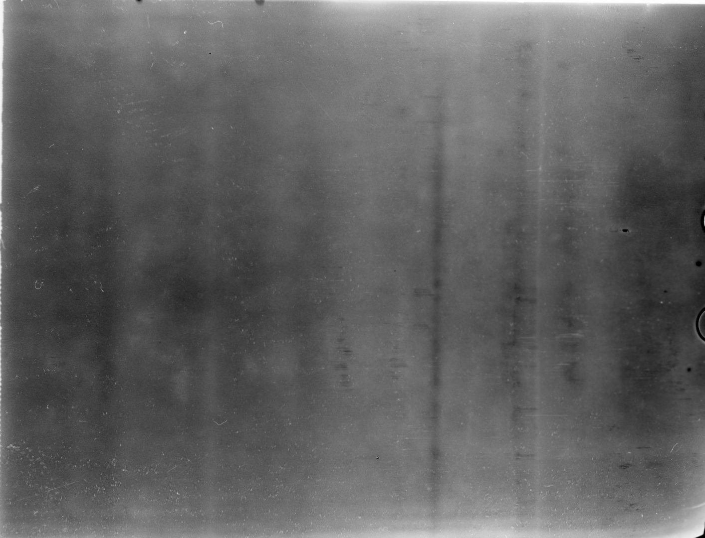 cold film development