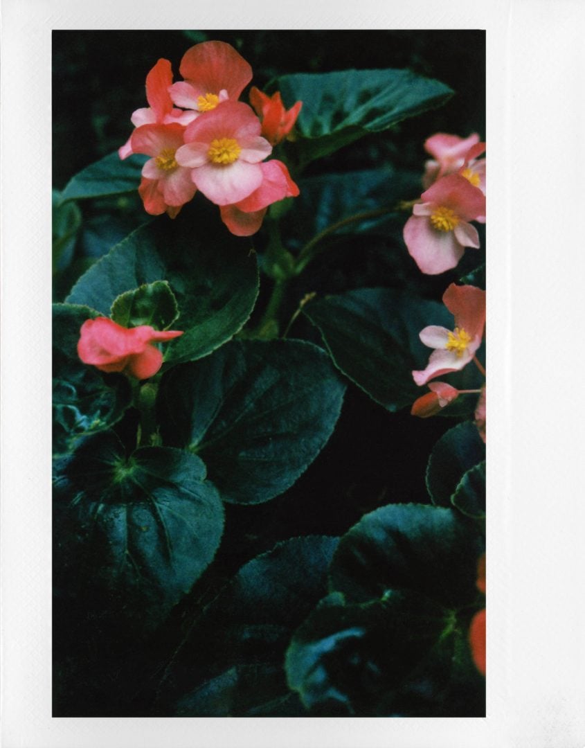 Lomo'Instant Wide Glass
