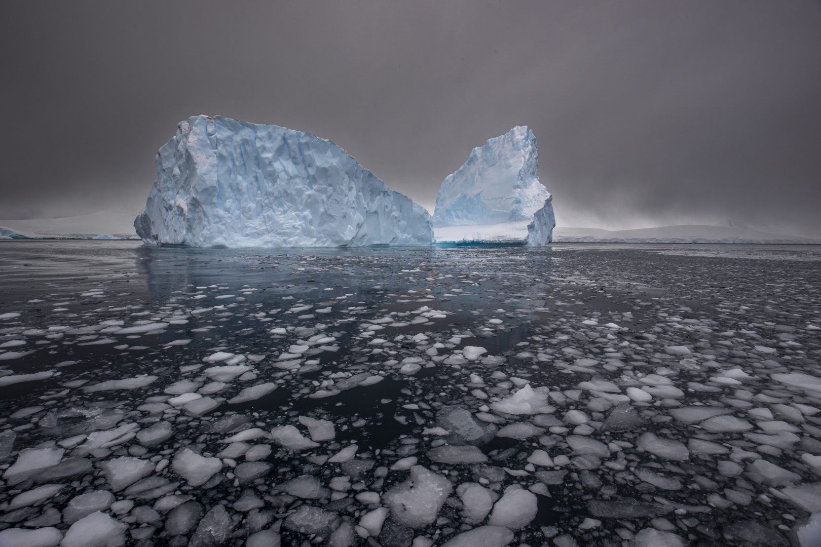 best photos of arctic and antarctica