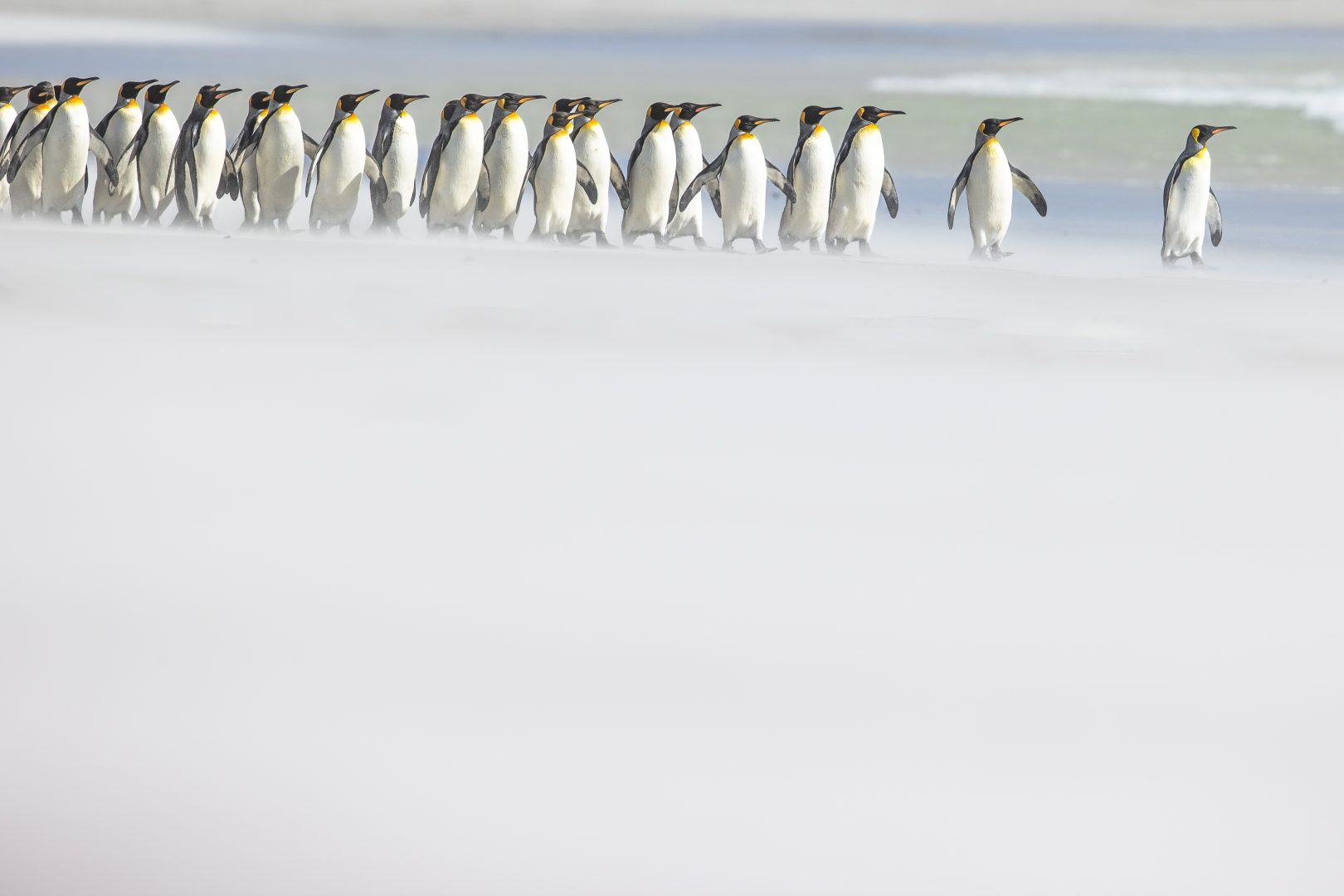best photos of arctic and antarctica