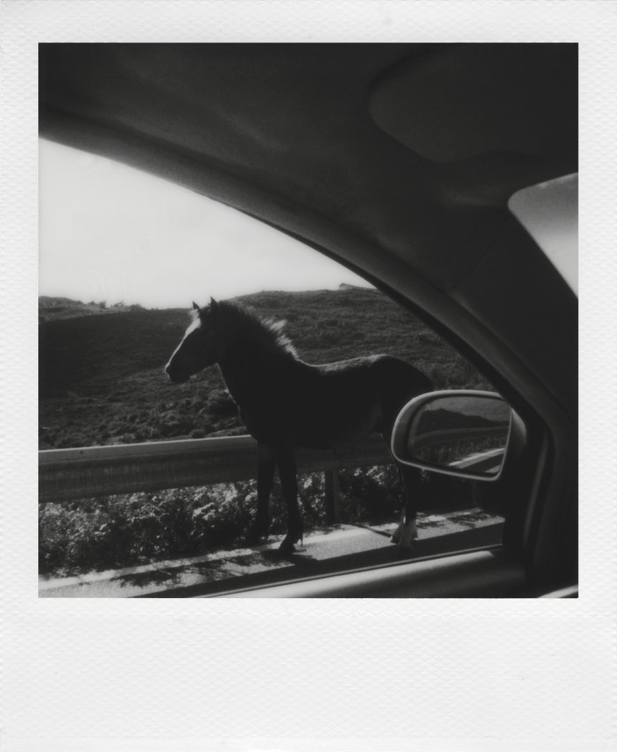 Polaroid and Magnum redefine instant photography with the winners of their Open Call