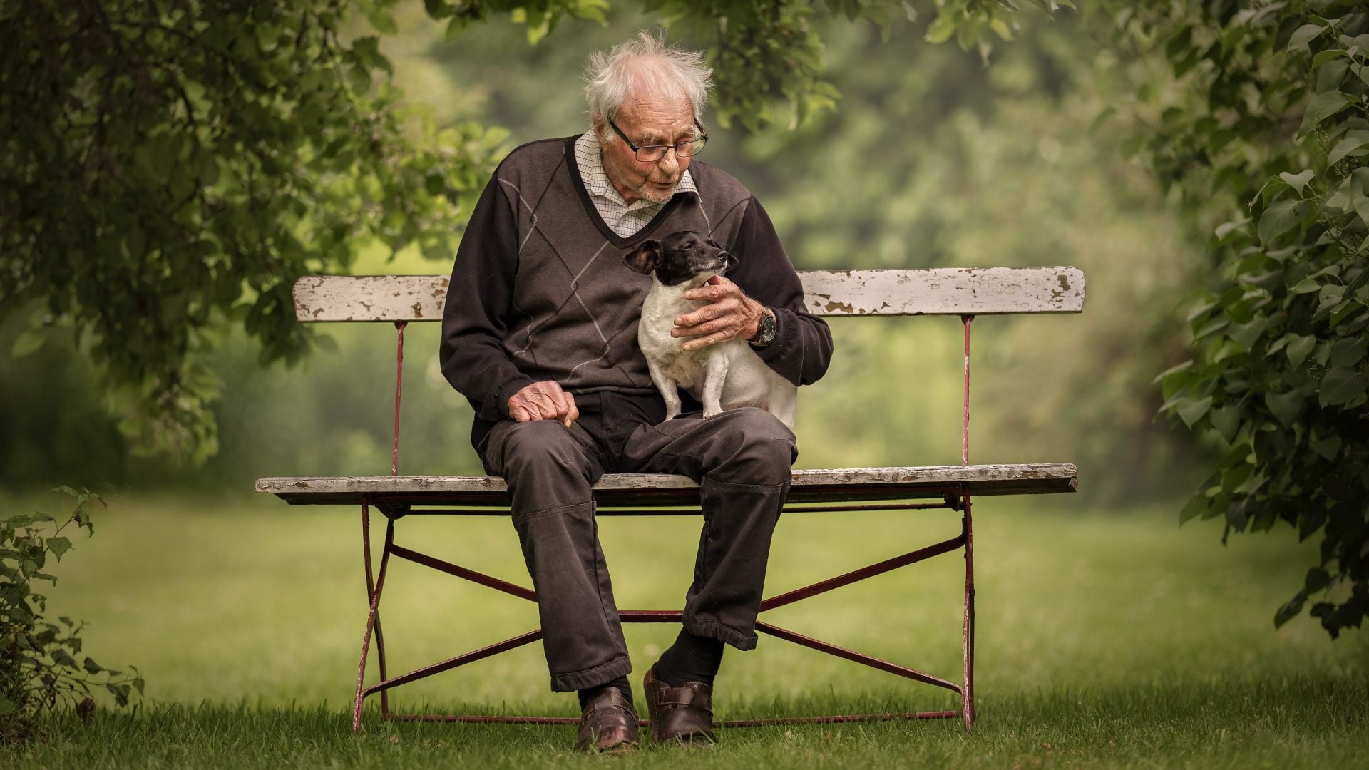 Dog Photography Award 2024 winning photos