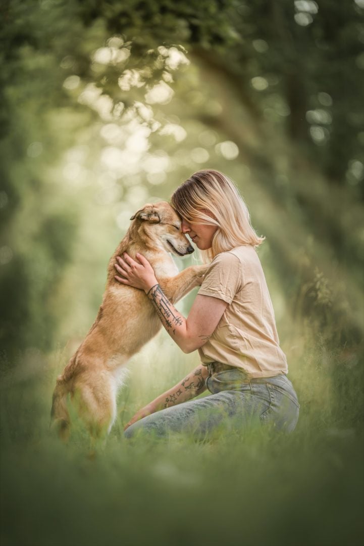 Dog Photography Award 2024 winning photos