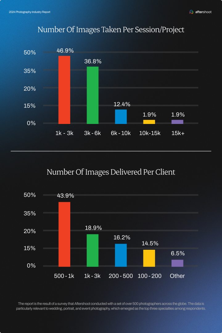 photography industry report