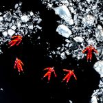 Drone Photography Awards 2024