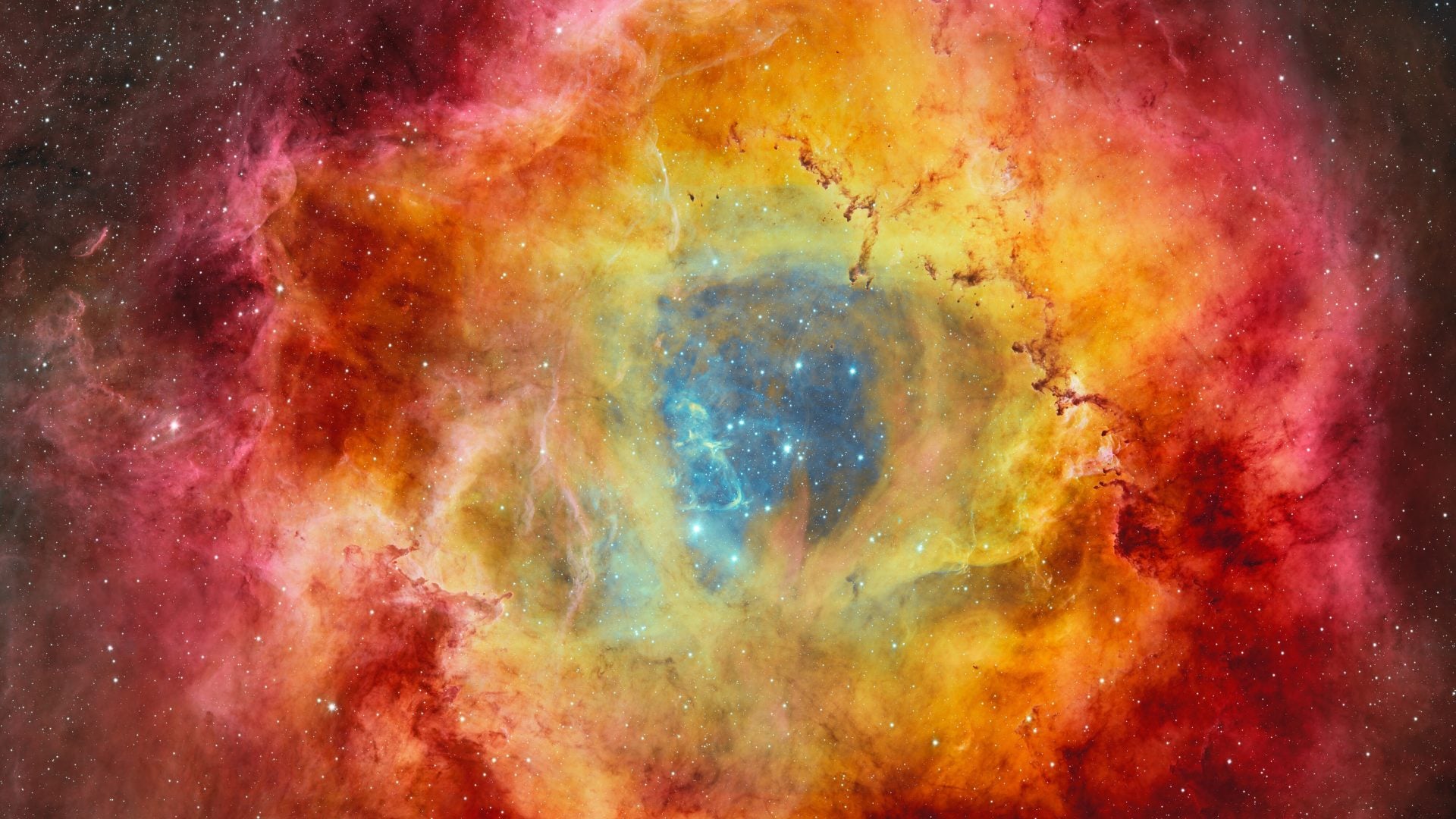 rosette nebula