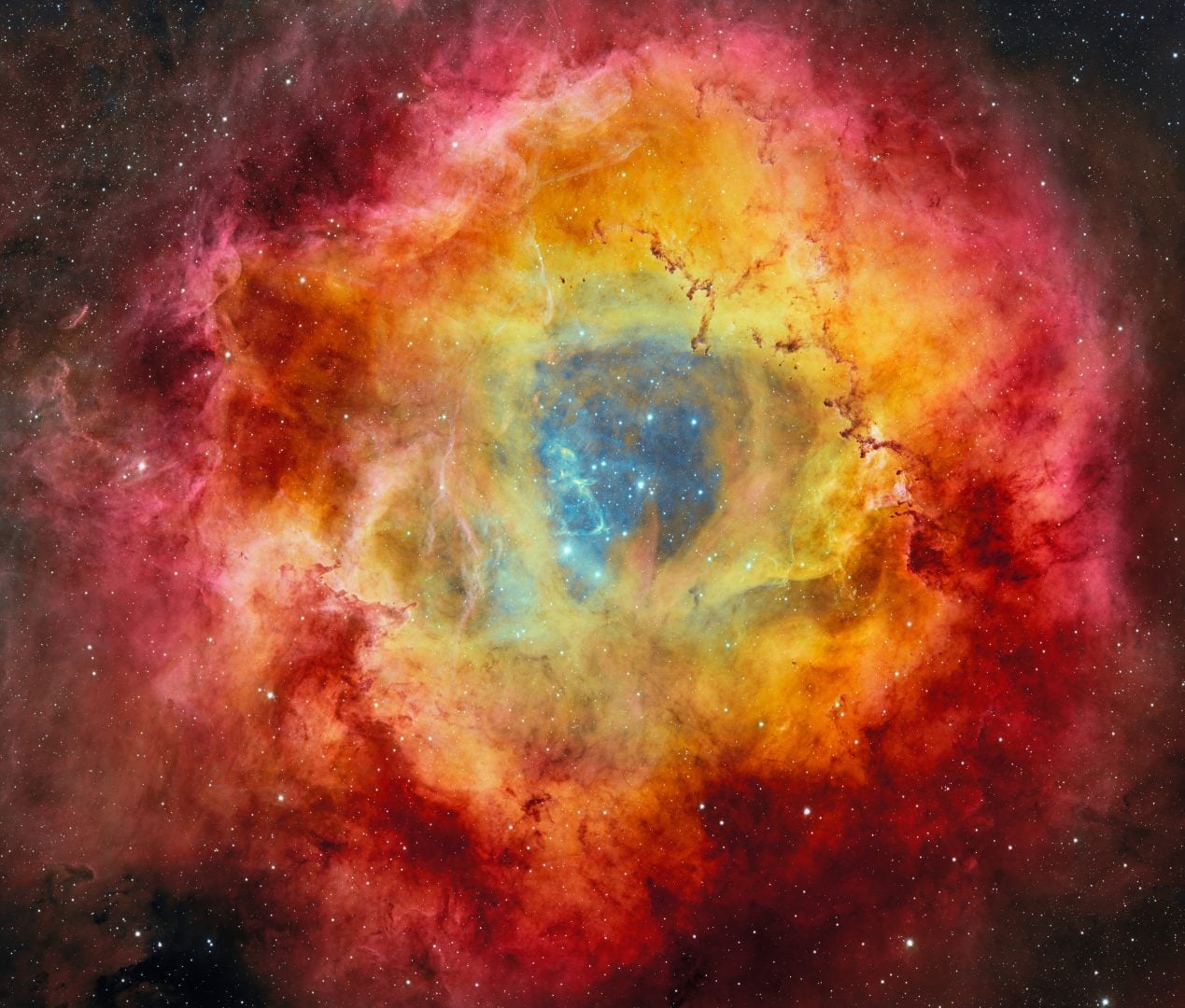 rosette nebula