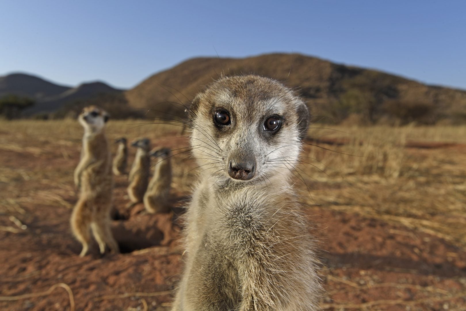 Thomas Peschak NatGeo