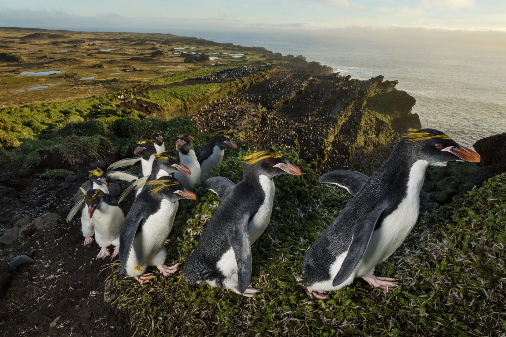 Thomas Peschak NatGeo