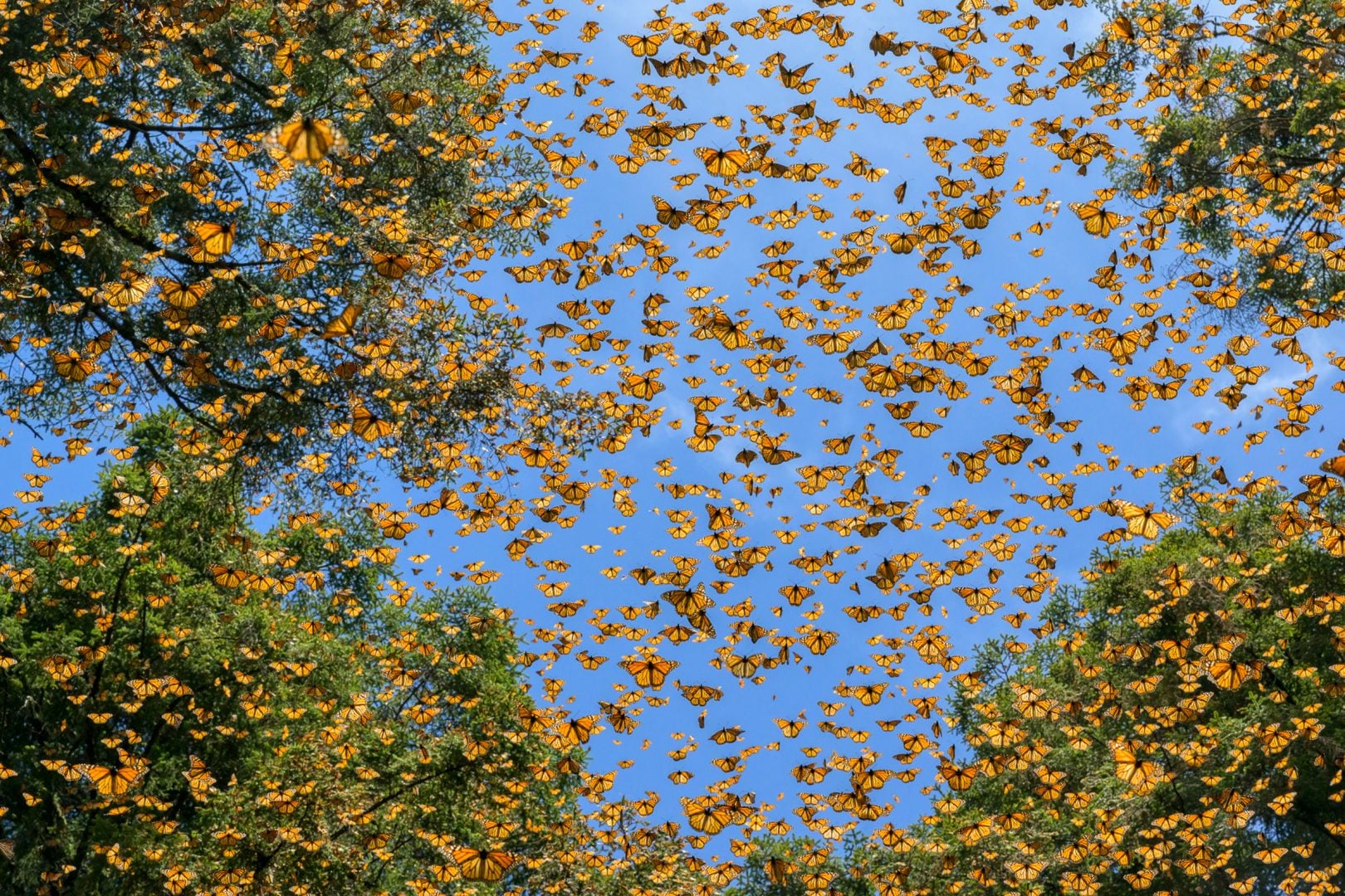 Nature's Best Photography 2024