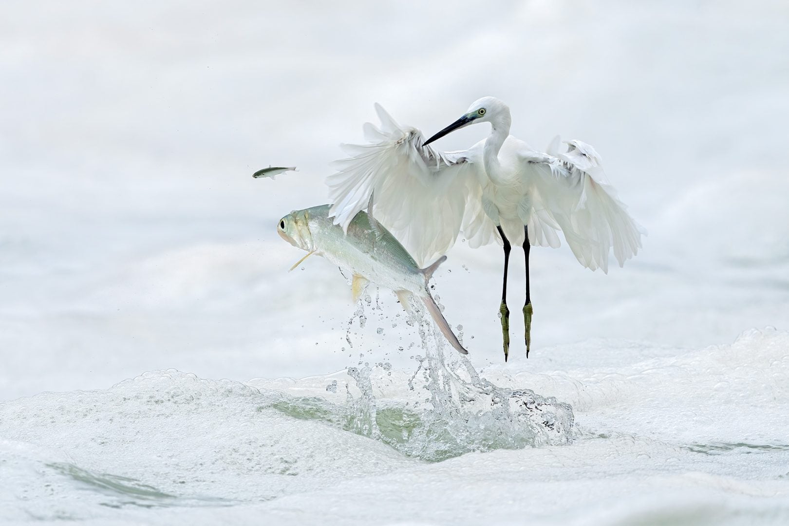 Nature's Best Photography 2024