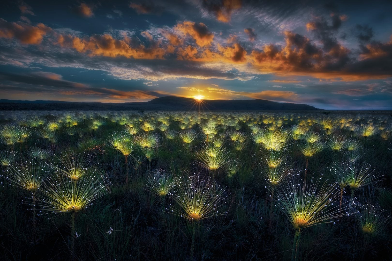 Nature's Best Photography 2024