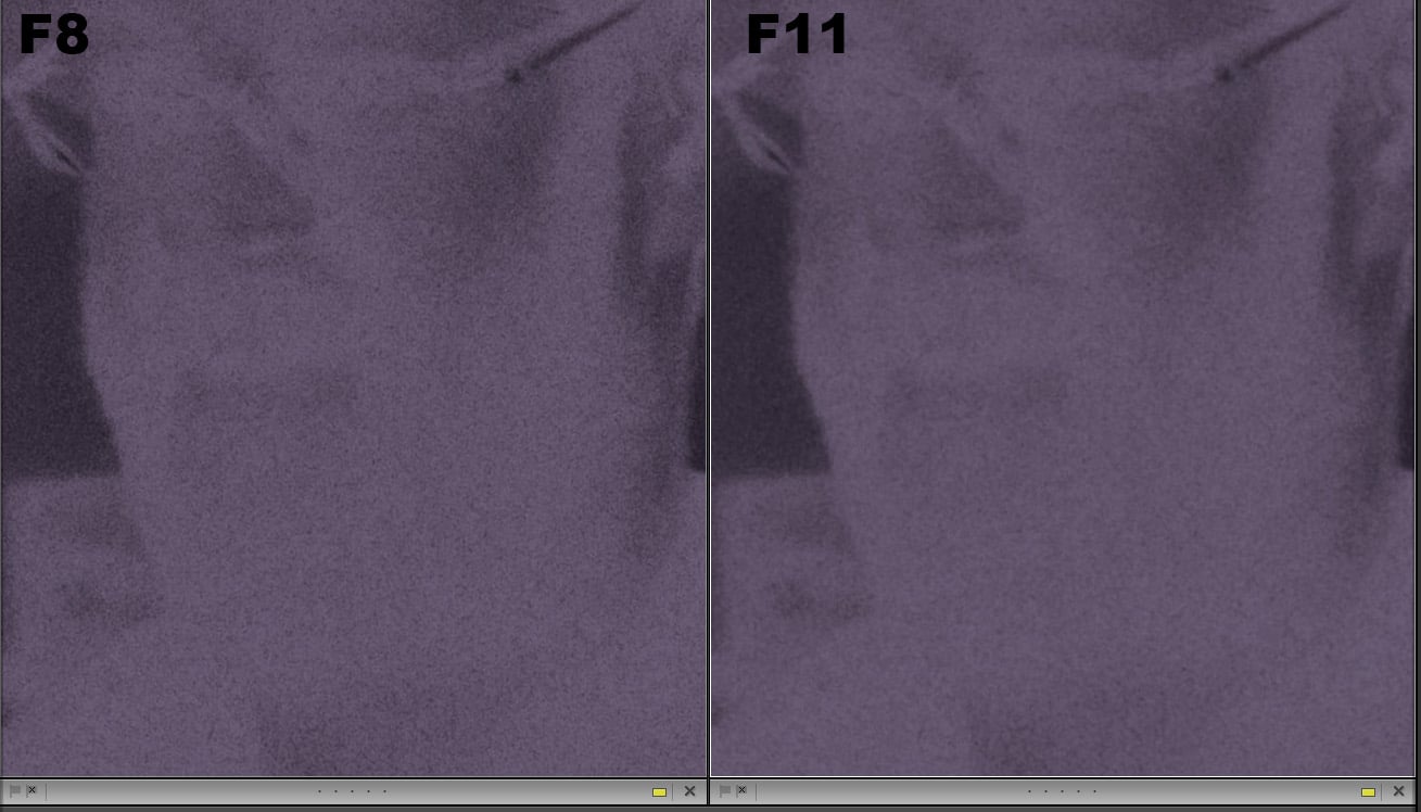 But centerwise F8 takes an easy win over F11. The grain is much softer at F11 on the Rodenstock Rodagon 80mm lens