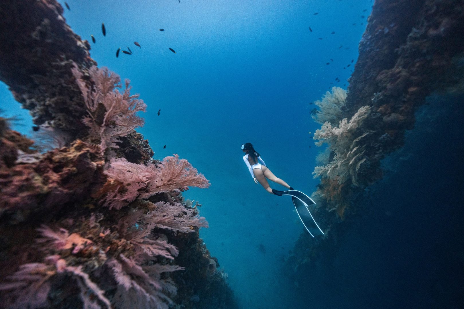 This award winning photographer free dives for the perfect shot