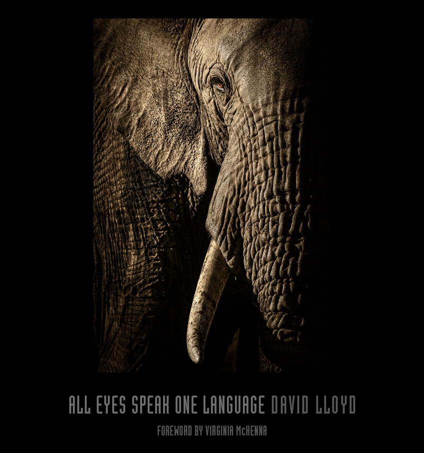 Now you can own this rare collector's edition book set of wildlife fine art photography