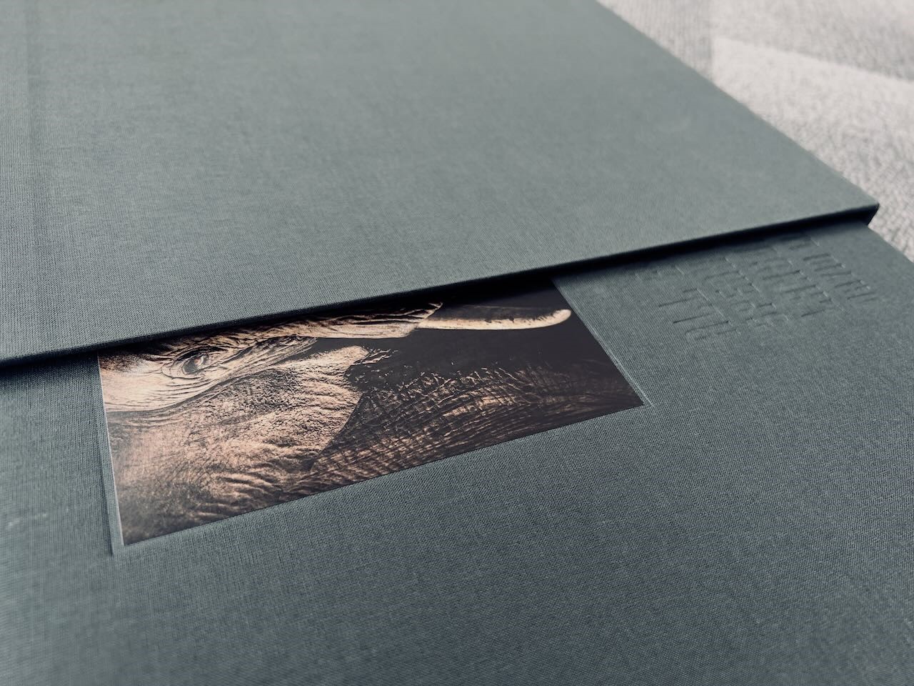 Now you can own this rare collector's edition book set of wildlife fine art photography