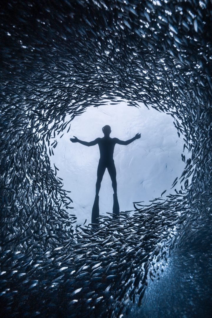 This award winning photographer free dives for the perfect shot