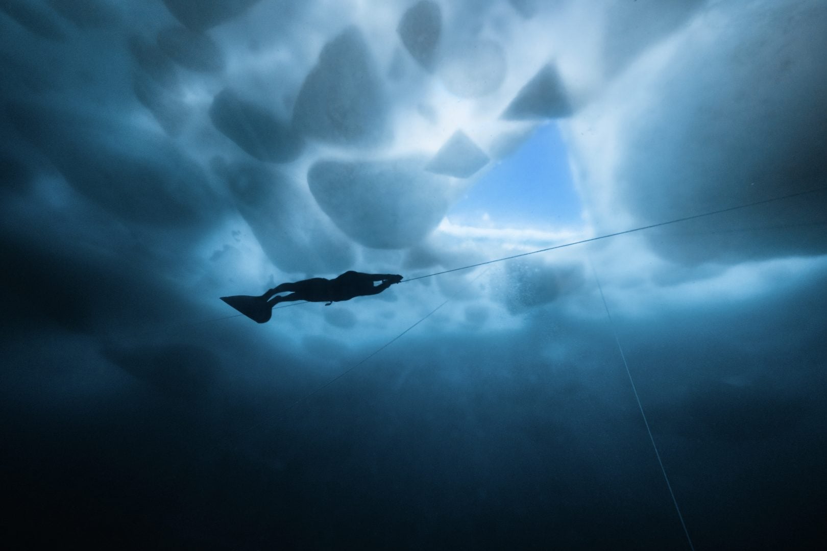 This award winning photographer free dives for the perfect shot