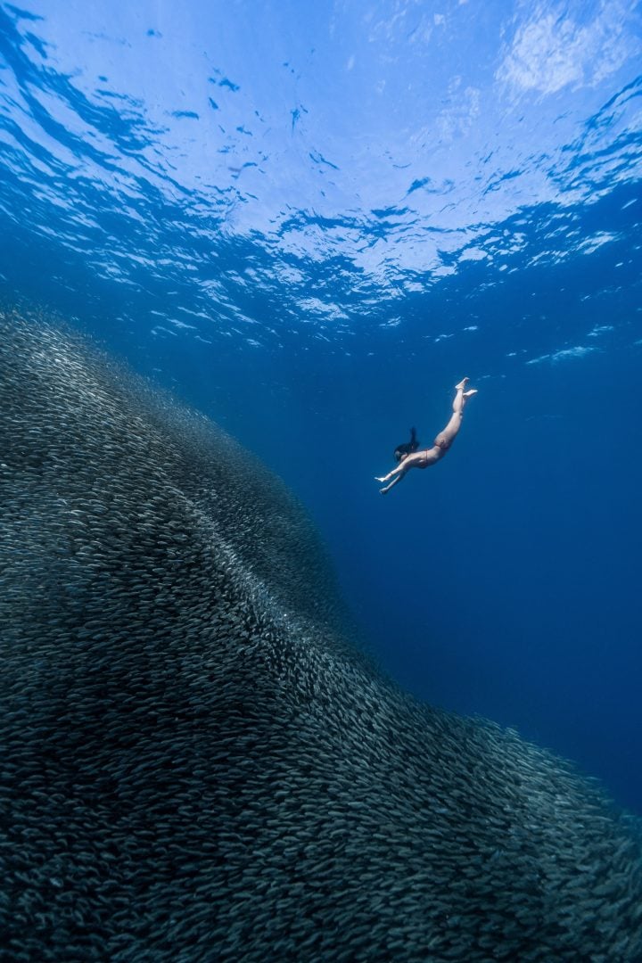 This award winning photographer free dives for the perfect shot