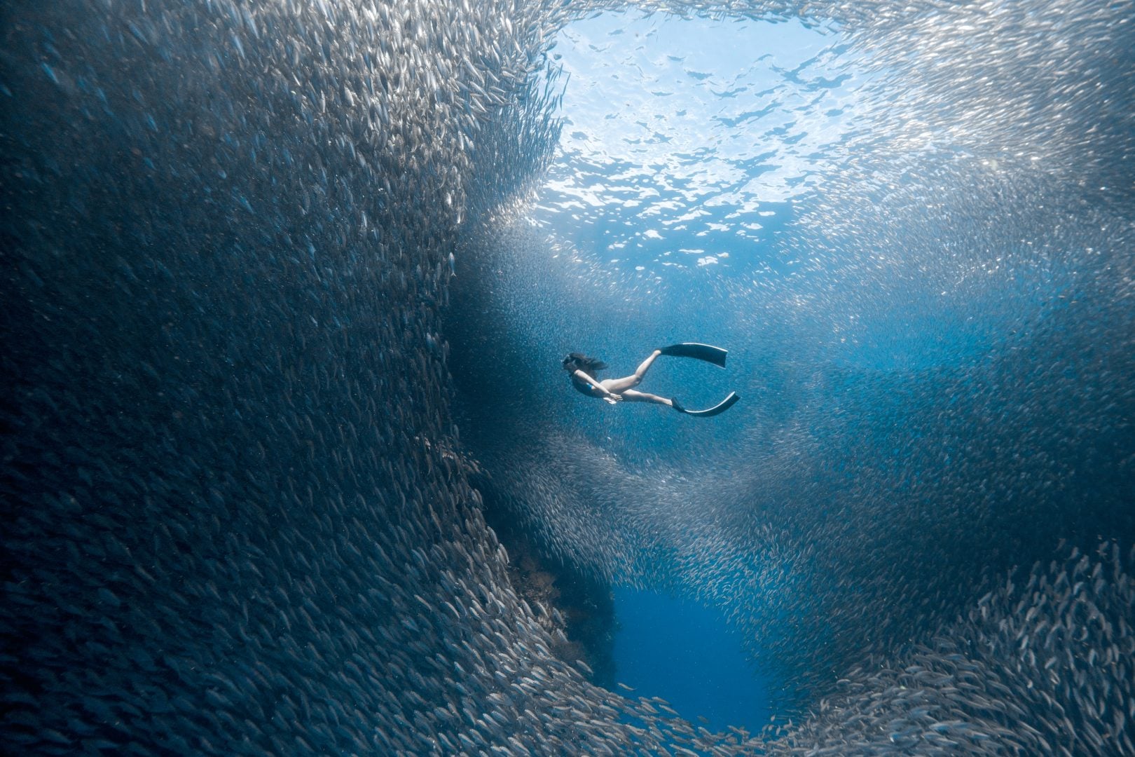 This award winning photographer free dives for the perfect shot