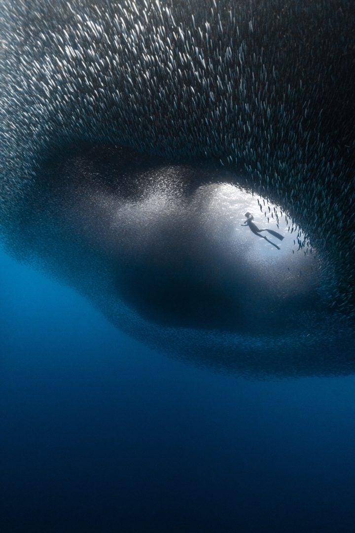 This award winning photographer free dives for the perfect shot