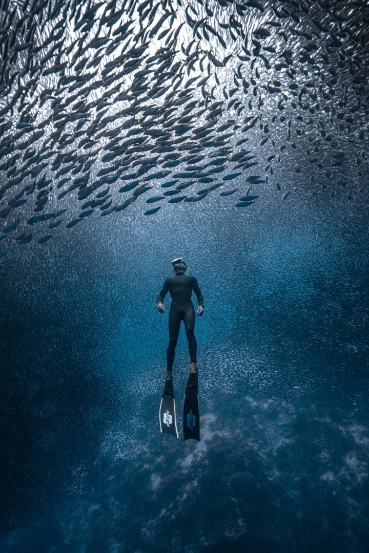 This award winning photographer free dives for the perfect shot
