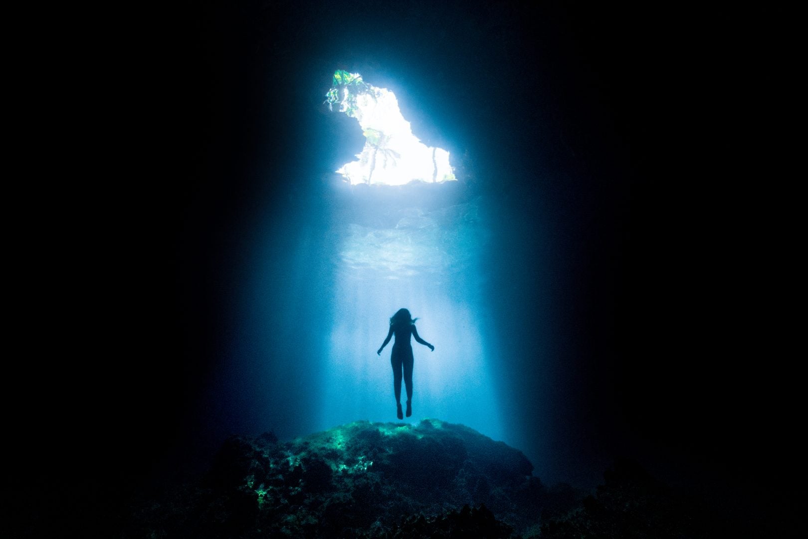 This award winning photographer free dives for the perfect shot