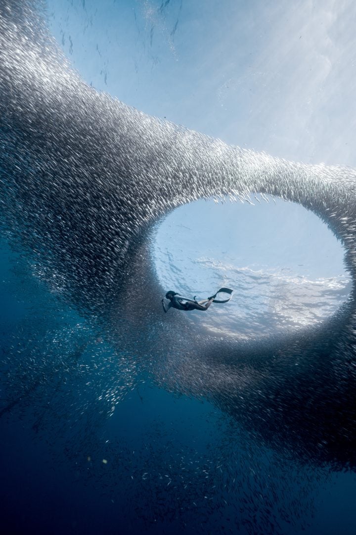 This award winning photographer free dives for the perfect shot