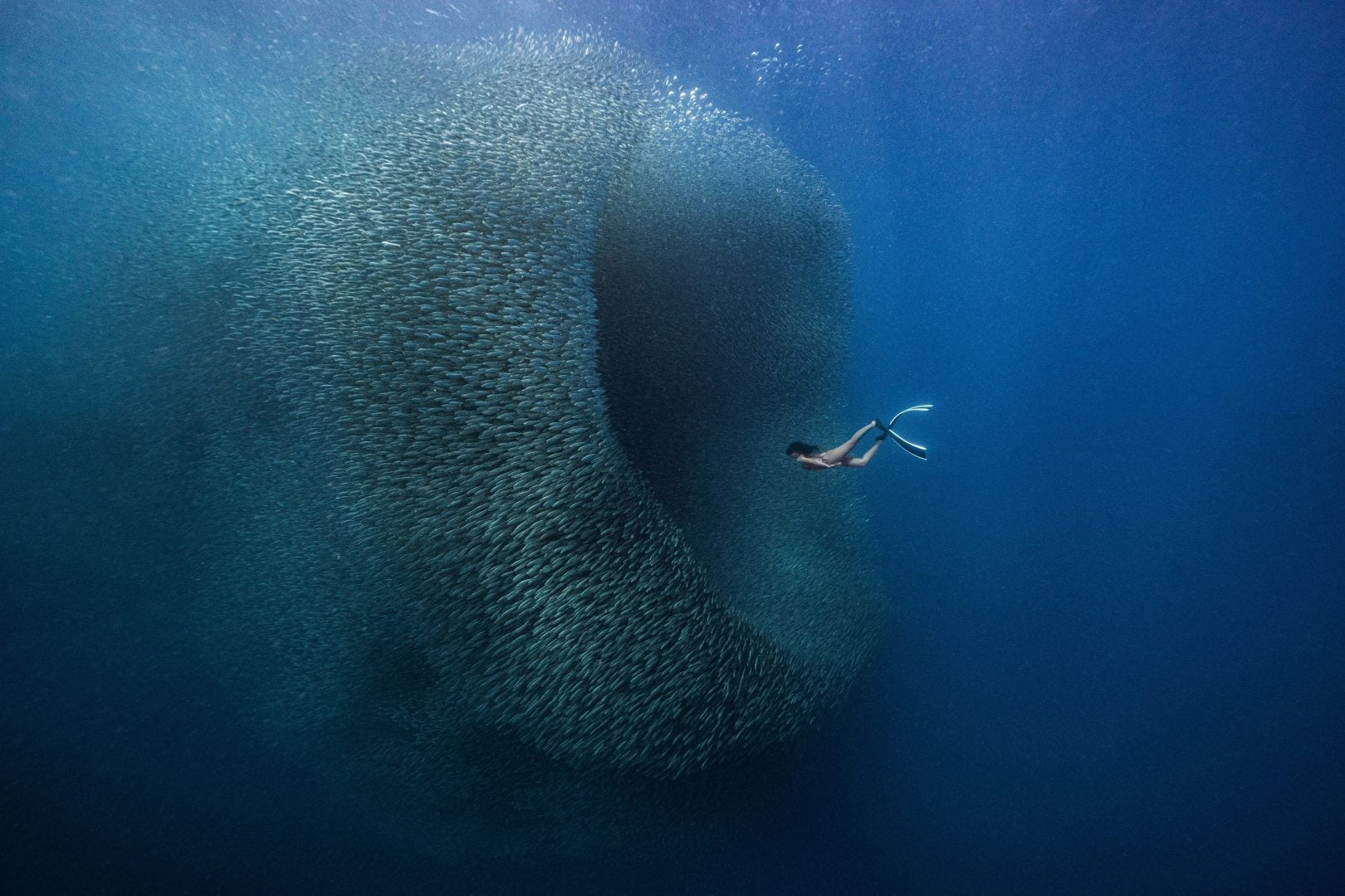 This award winning photographer free dives for the perfect shot