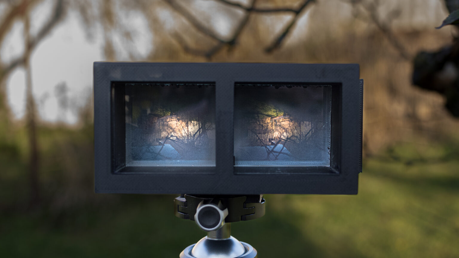 Bringing a 113-Year-Old 3D Camera Back to Life