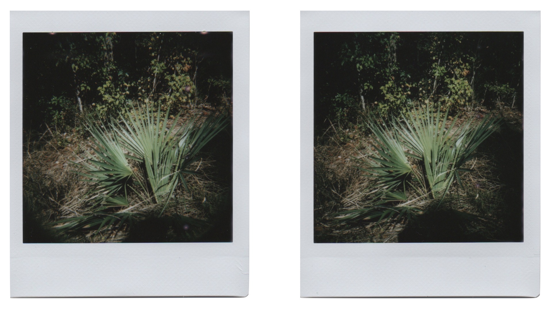 two Instax prints with a 75mm lens